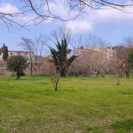 Comissa Sidari (Corfu)